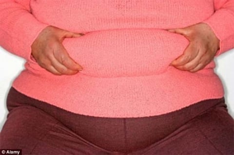 Deleting 'fat gene' may combat obesity, ageing