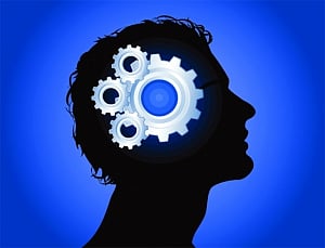 It's all in the brain, for humans