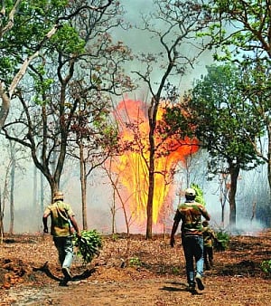 Bandipur, Nagarahole fire sparks conspiracy theories