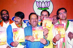 Delhi BJP promises housing, jobs & healthcare for all