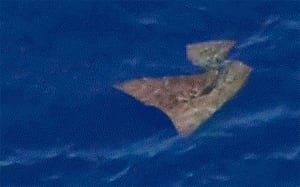 Missing jet: Search effort continues after new discovery