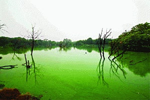 DDA outsources upkeep of reservoirs