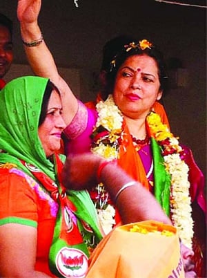lekhi packs a power punch