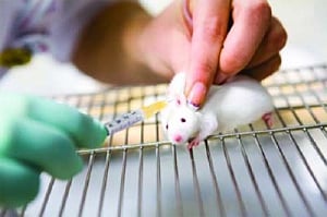 Cut the cruelty out of cosmetics