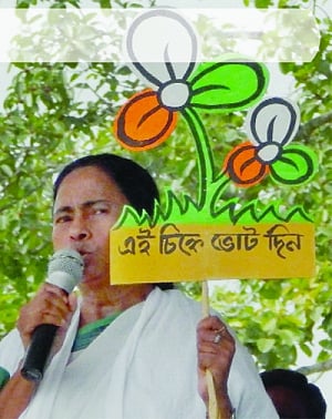Flustered Didi out to nip blooming lotus in Bengal