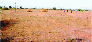 Gujarat land acquisition model is the best: Commerce Ministry report