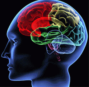 Raising brain fluid pressure could prevent vision loss