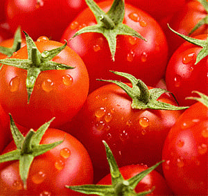 Four tomatoes a day may reduce kidney cancer risk: Study