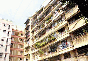 Maha govt to seek AG's opinion on Campa Cola society issue