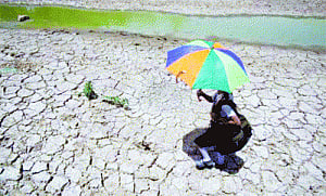 Heat wave claims several lives in Andhra