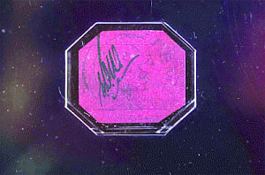 Rare stamp sold for record $9.5 mn