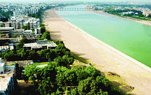 Govt to use some elbow grease to study sludge