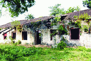 Renovation begins at Orwell's birthplace