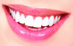 Teeth protein may help regenerate bone