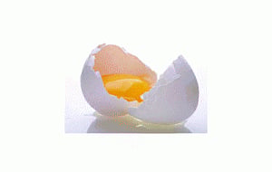Rotten egg gas holds key to health-care therapies