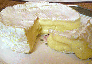 Microbial communities in cheese identified