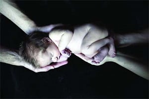No more giving adoption a wide berth