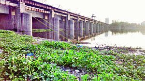 Why river flood dynamics is beyond Govt's depth