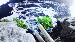 Reviving a choked Yamuna