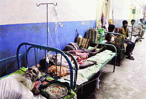 Encephalitis claims 700 lives