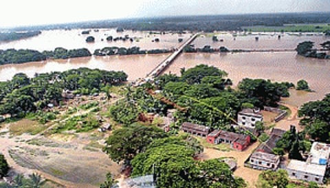 Vast stretch of Mahanadi delta zone flooded, toll 34