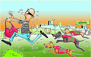 Why keep a dog and bark yourself? Canine brigade to secure New Delhi