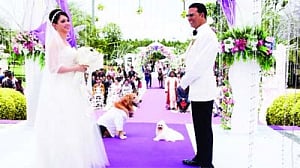 Doggy doggy, no baba