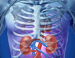 New drugs can dissolve kidney stones