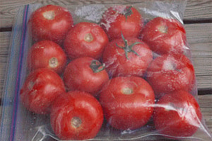 Mother Dairy selling frozen tomatoes at Rs 40/kg