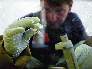 WHO mulls untested Ebola drugs