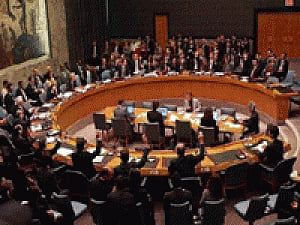 We are incurable optimists: India on UNSC reforms