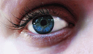 Cure for glaucoma in sight