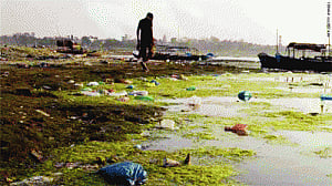 Ganga clean-up to cost Rs 51k-cr over five years