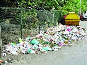 Sweeping away the litter louts