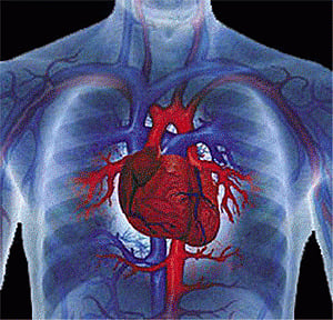 India staring at heart disease epidemic