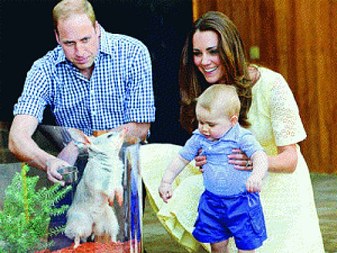Photographer stalking Prince George warned