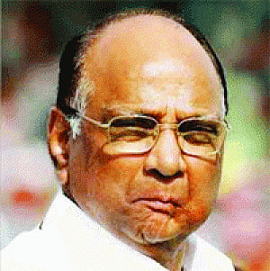 Harbour no grouse against Sonia: Pawar