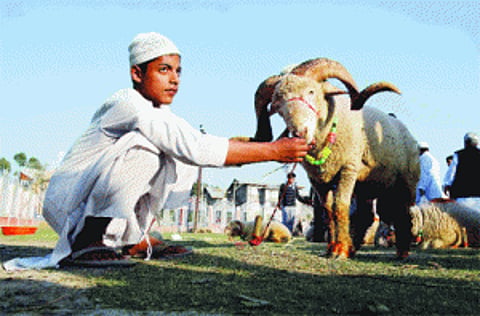 No festive fervour in flood-ravaged Kashmir