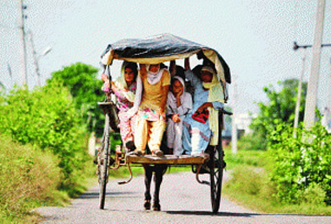 'India has shut Pak's mouth'