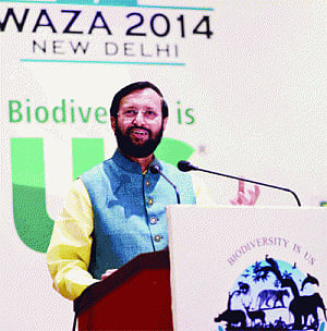 Centre for Zoo Sciences soon: Min