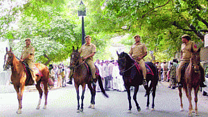 Horses for courses: King & Prince ensure peaceful Muharram