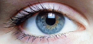 Glassy protein solution may cause eyesight deterioration