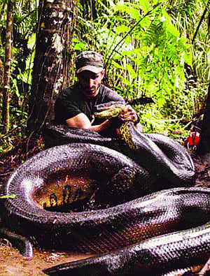 Snake loses its 'dinner' as environmentalist taps out