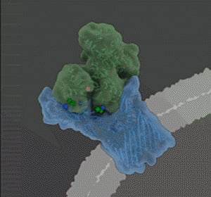 40 million year battle between primate and pathogen uncovered