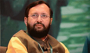 New climate deal addressed demands of developing nations:India