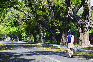 lutyen's area among 456 vulnerable routes for women