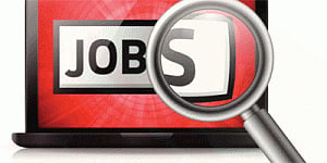 Online hiring activity grew 13% in Nov: Monster Index
