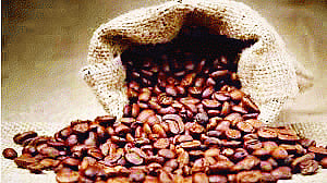 Over a cuppa java