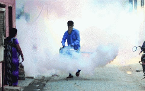 Opp nails Civic bodies' 'lie' on aedes' terror