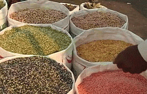 Over 50,000 tn pulses seized from hoarders so far